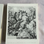 Piero di Cosimo Penitent Saint Jerome plate