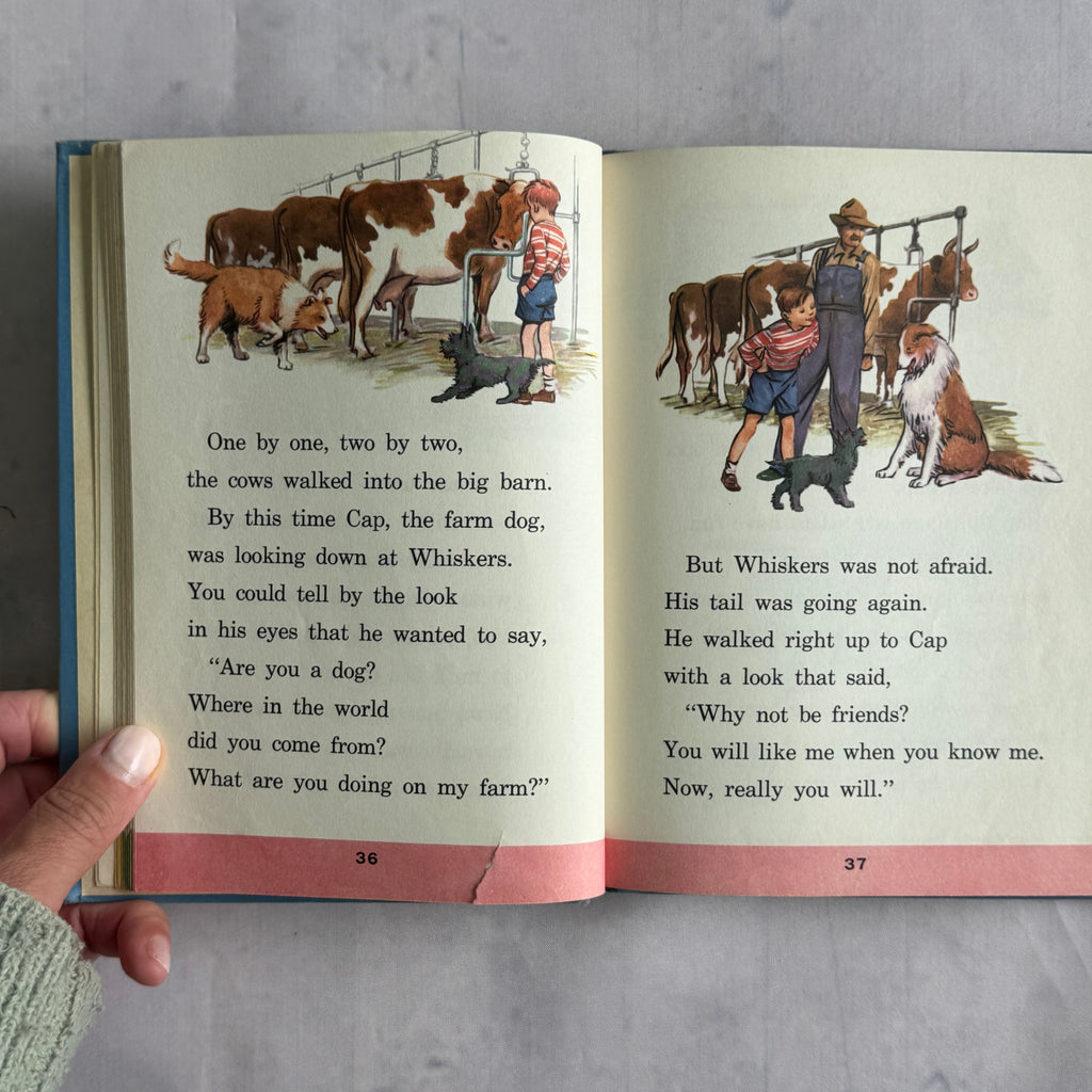 Farm pages with cows and dogs, small tear on page 36