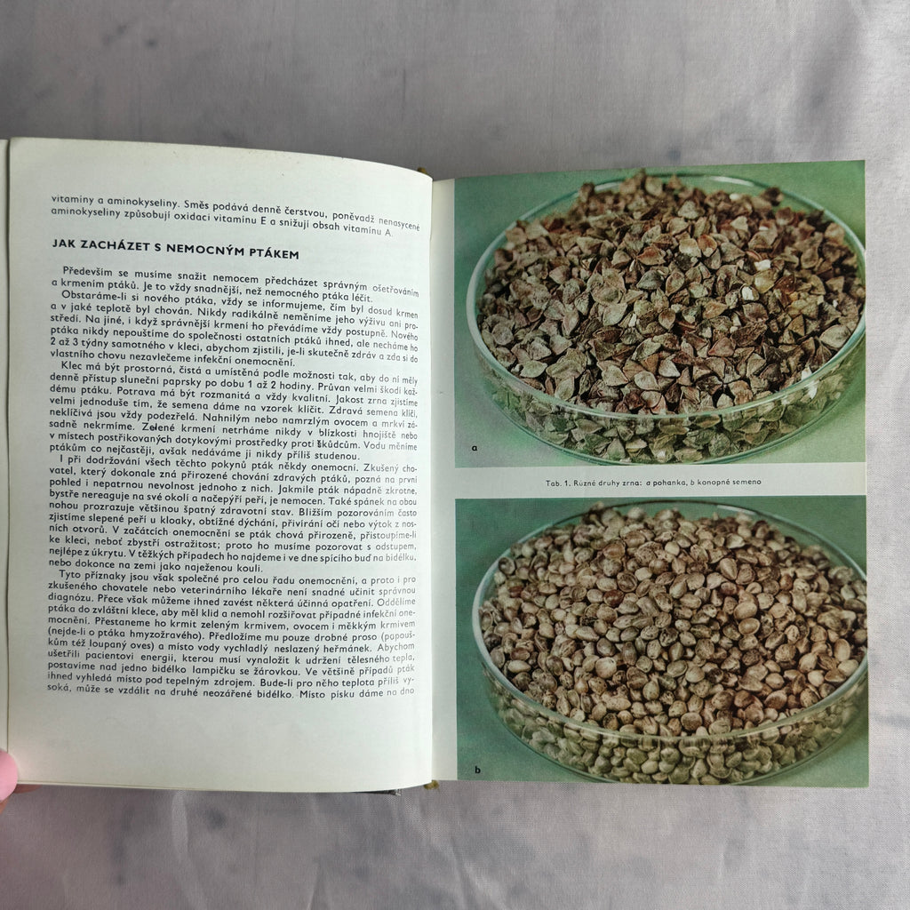 Exotic Bird Atlas (1973) – Illustrated Ornithology Book with Color Bird Photography