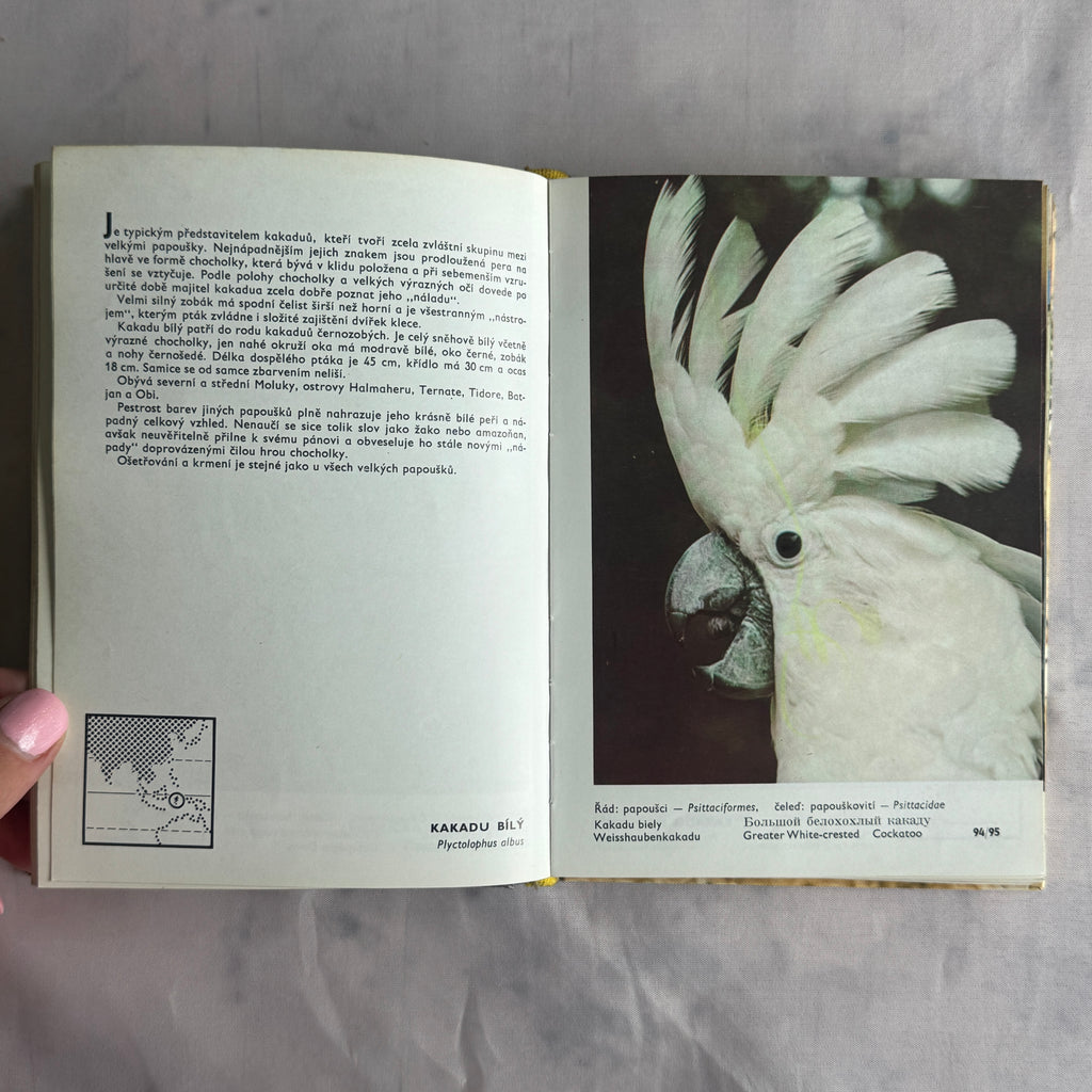 Exotic Bird Atlas (1973) – Illustrated Ornithology Book with Color Bird Photography