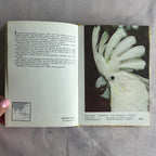 Exotic Bird Atlas (1973) – Illustrated Ornithology Book with Color Bird Photography
