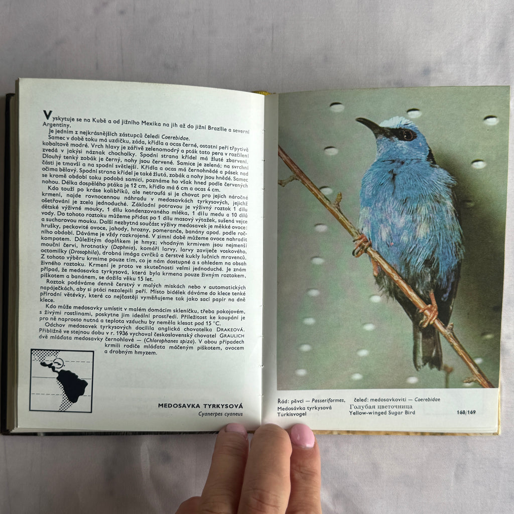 Exotic Bird Atlas (1973) – Illustrated Ornithology Book with Color Bird Photography