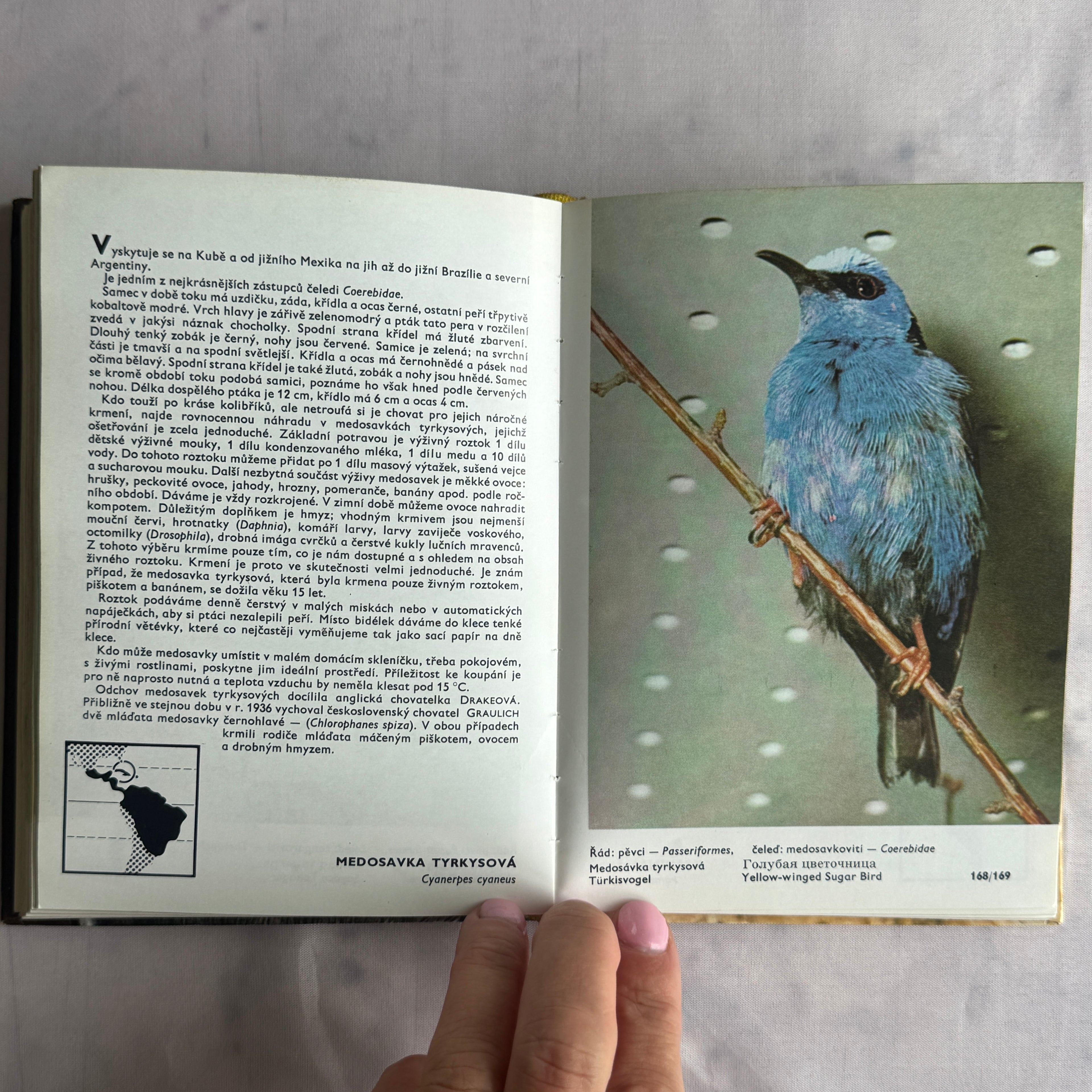 Exotic Bird Atlas (1973) – Illustrated Ornithology Book with Color Bird Photography