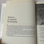 Vintage Japanese Fairy Tales “Japanische Märchen” – Artia, Šerých Illustrated