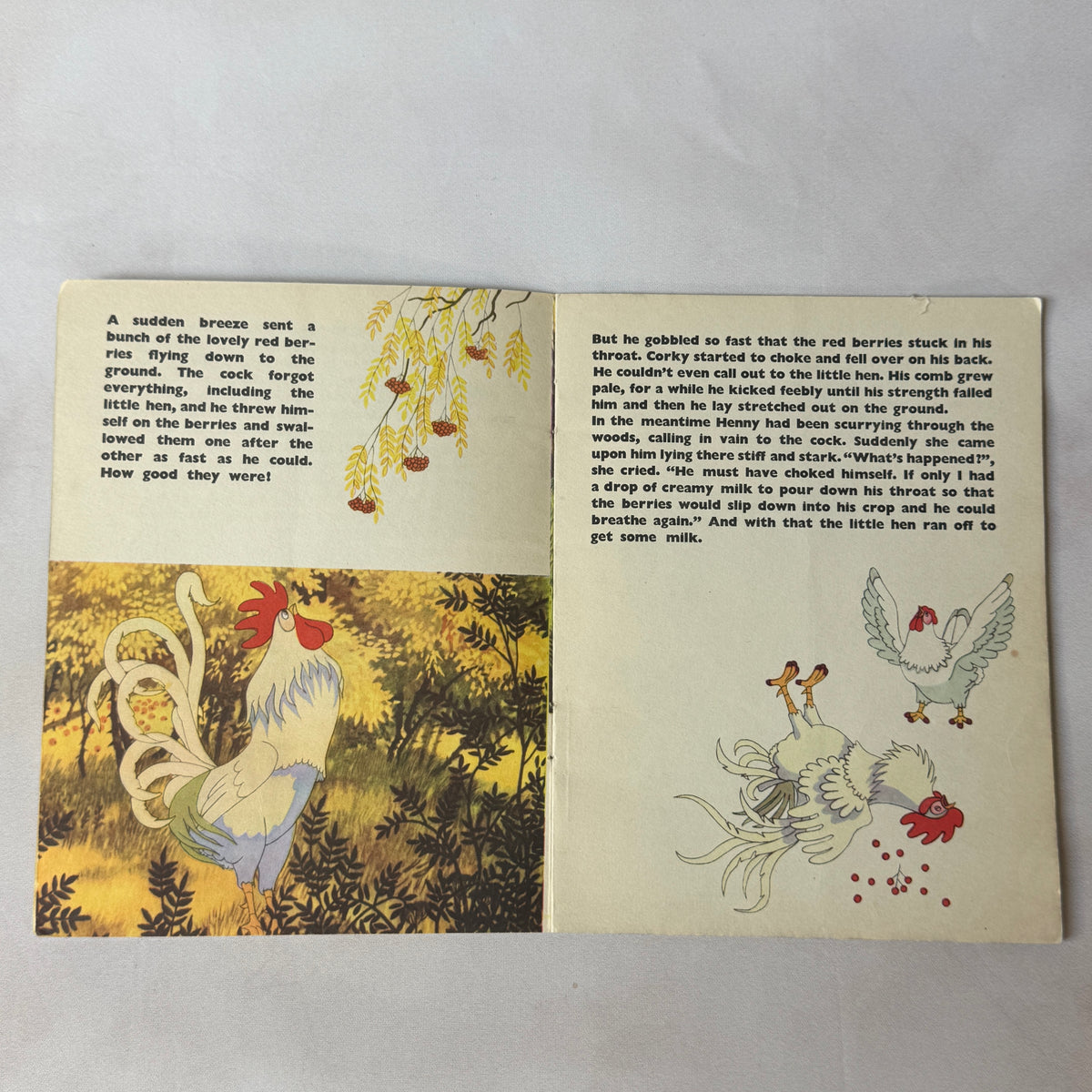 Corky Learns a Lesson – Zdeněk Miler Illustrated Vintage Children’s Book, 1966