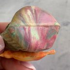 Bird Water Whistle, Eastern European Folk Toy