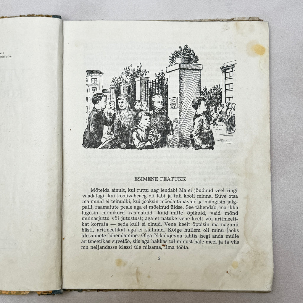 Vitja Malejev at School and Home – 1952 Estonian Children's Book by N. Nossov