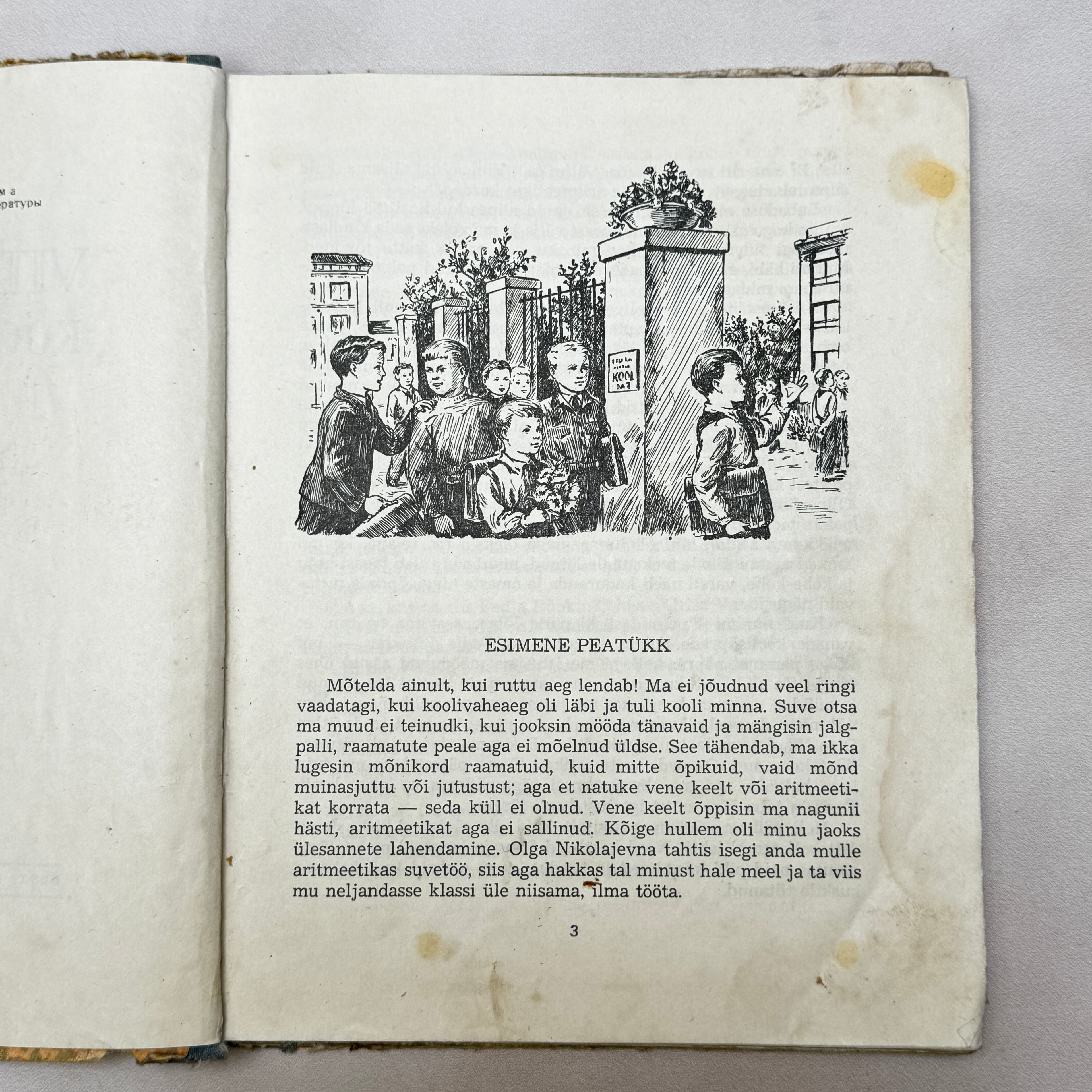 Vitja Malejev at School and Home – 1952 Estonian Children's Book by N. Nossov