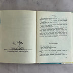 Sipsik – Eno Raud (1978) Estonian Children's Book – Edgar Valter Illustrated