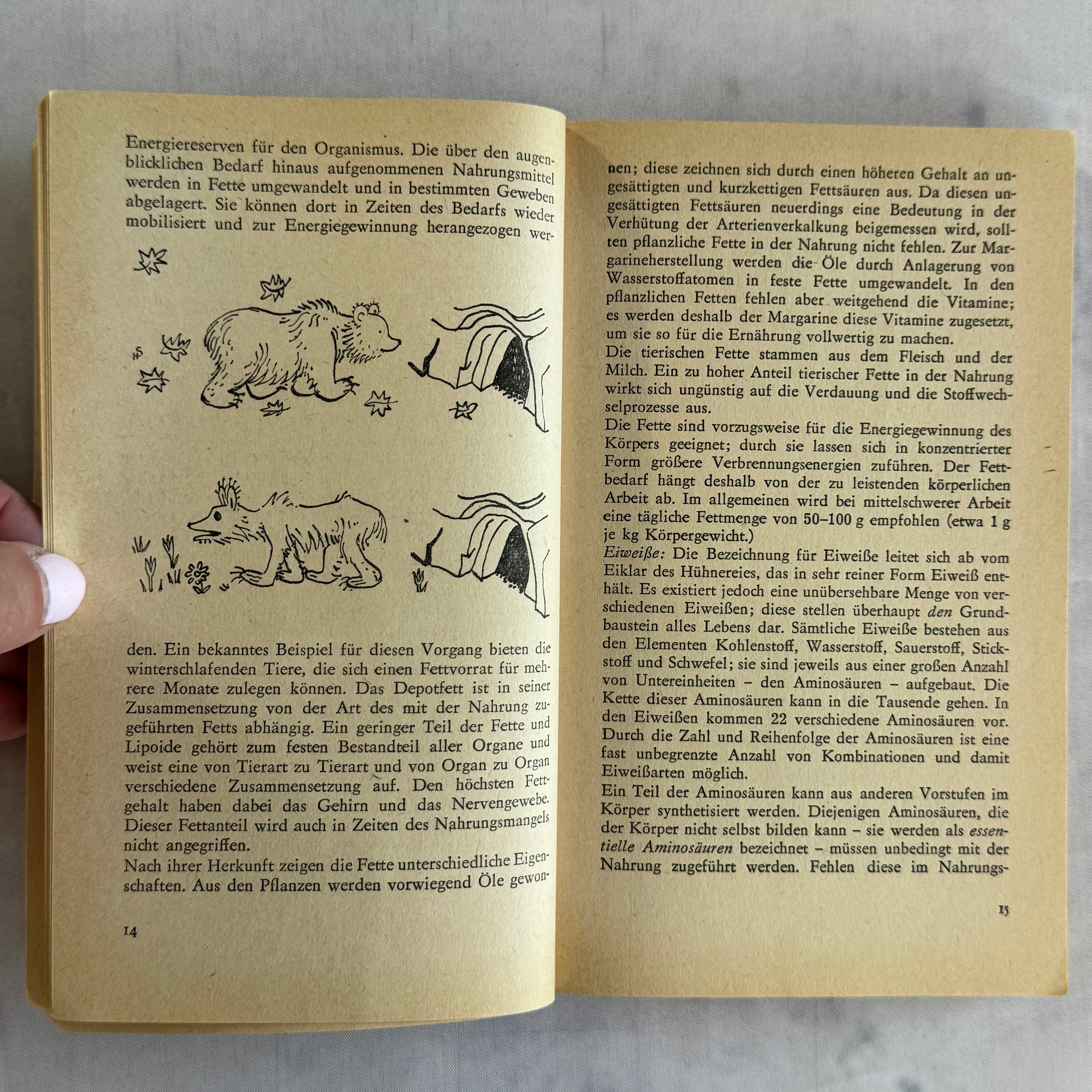 1964 DDR Nutrition Book “Gut Essen Aber Mit Köpfchen” – German Health Guide
