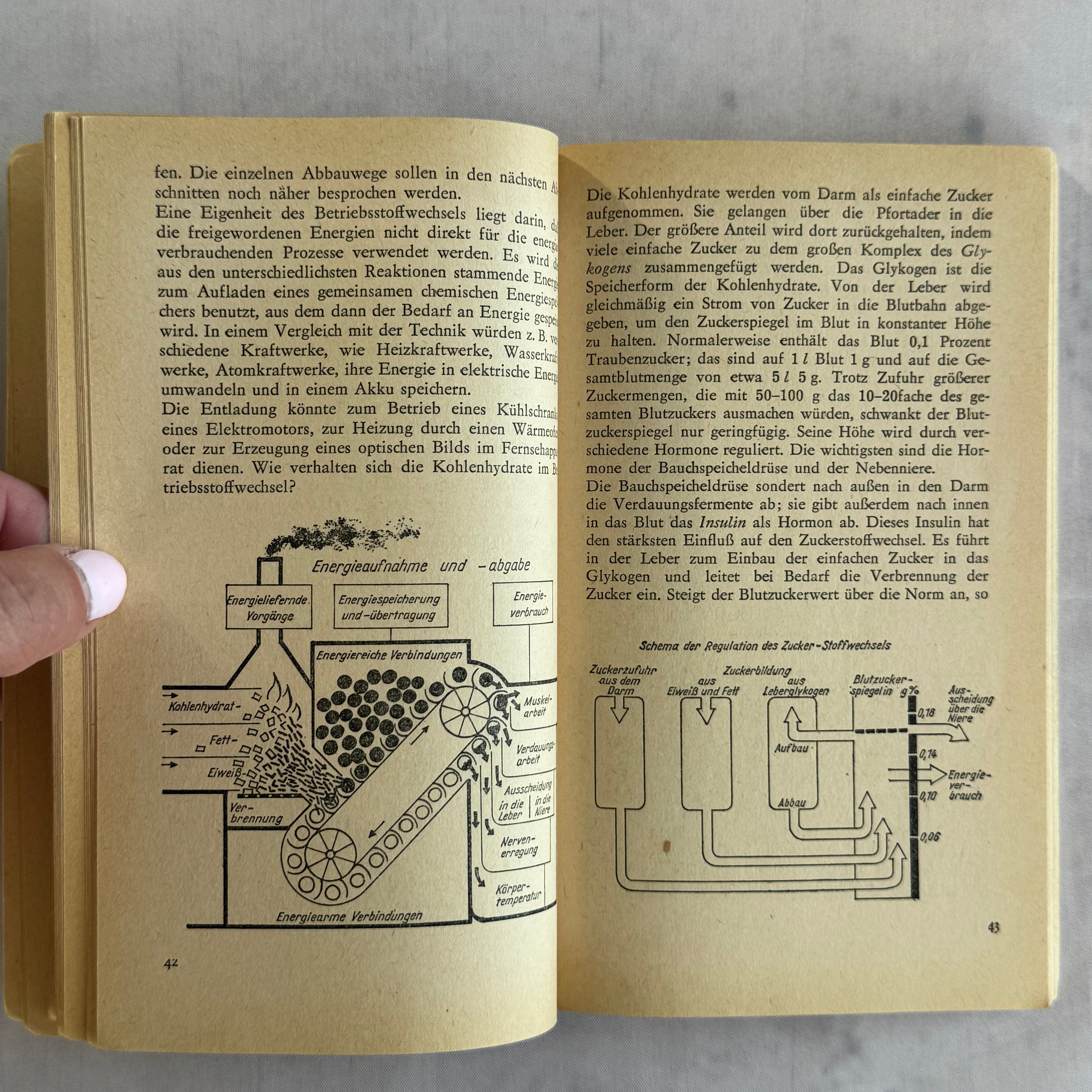 1964 DDR Nutrition Book “Gut Essen Aber Mit Köpfchen” – German Health Guide