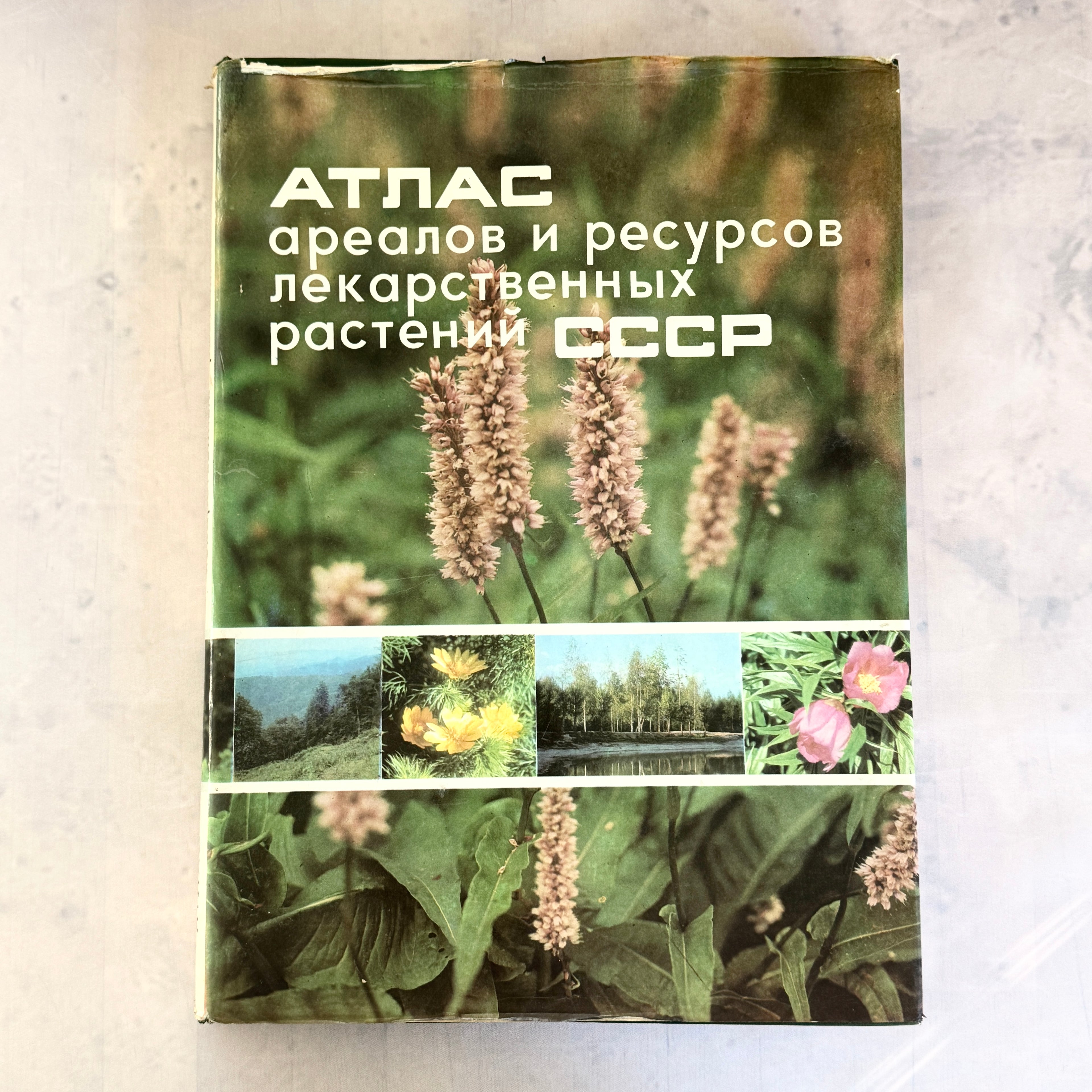 Soviet Botanical Atlas 1980 A3 Medicinal Plants Maps USSR