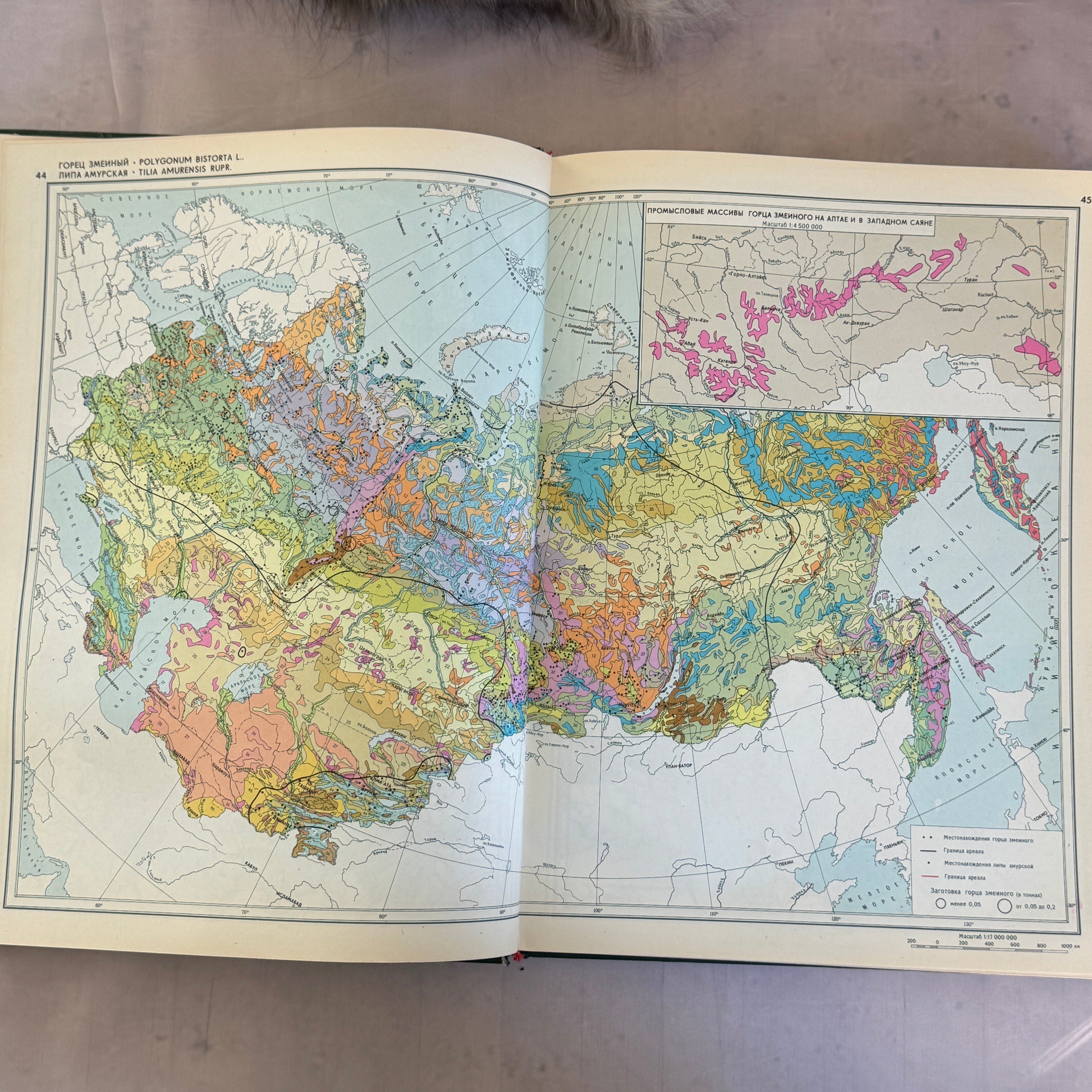 Soviet Botanical Atlas 1980 A3 Medicinal Plants Maps USSR