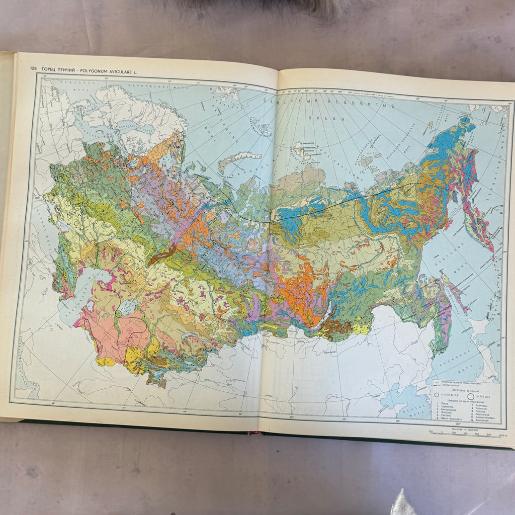 Soviet Botanical Atlas 1980 A3 Medicinal Plants Maps USSR
