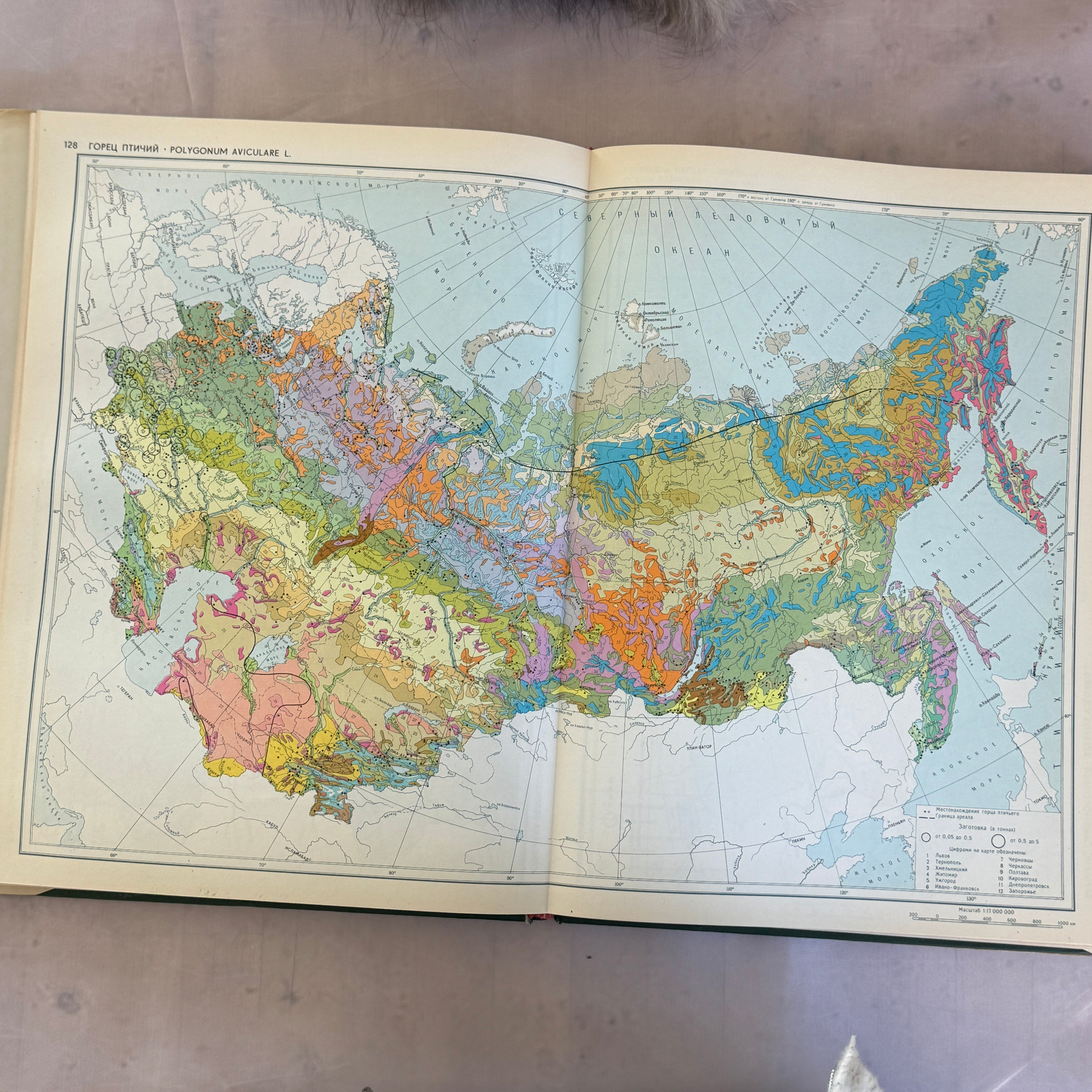 Soviet Botanical Atlas 1980 A3 Medicinal Plants Maps USSR