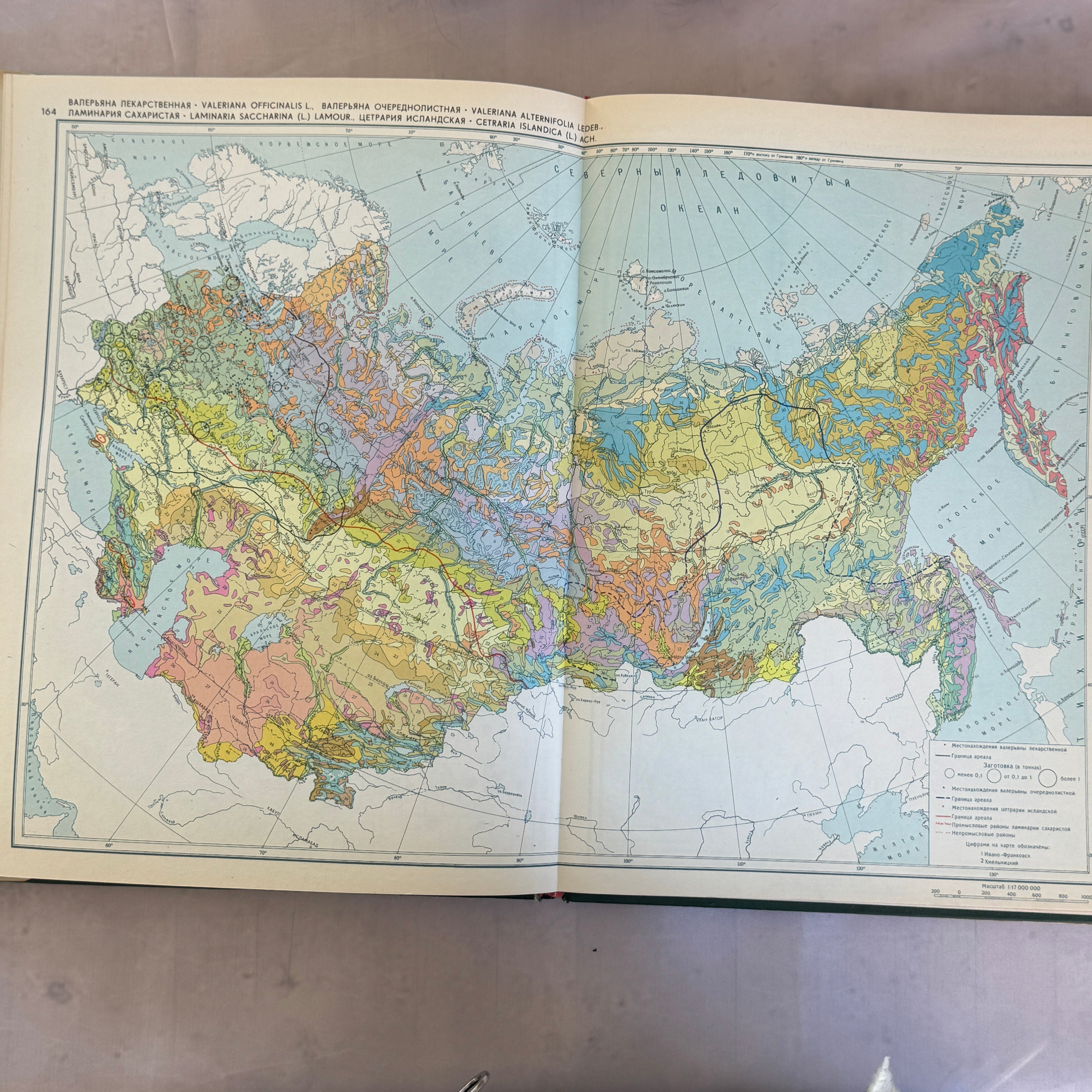 Soviet Botanical Atlas 1980 A3 Medicinal Plants Maps USSR