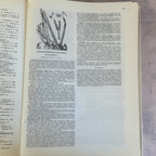 Soviet Botanical Atlas 1980 A3 Medicinal Plants Maps USSR