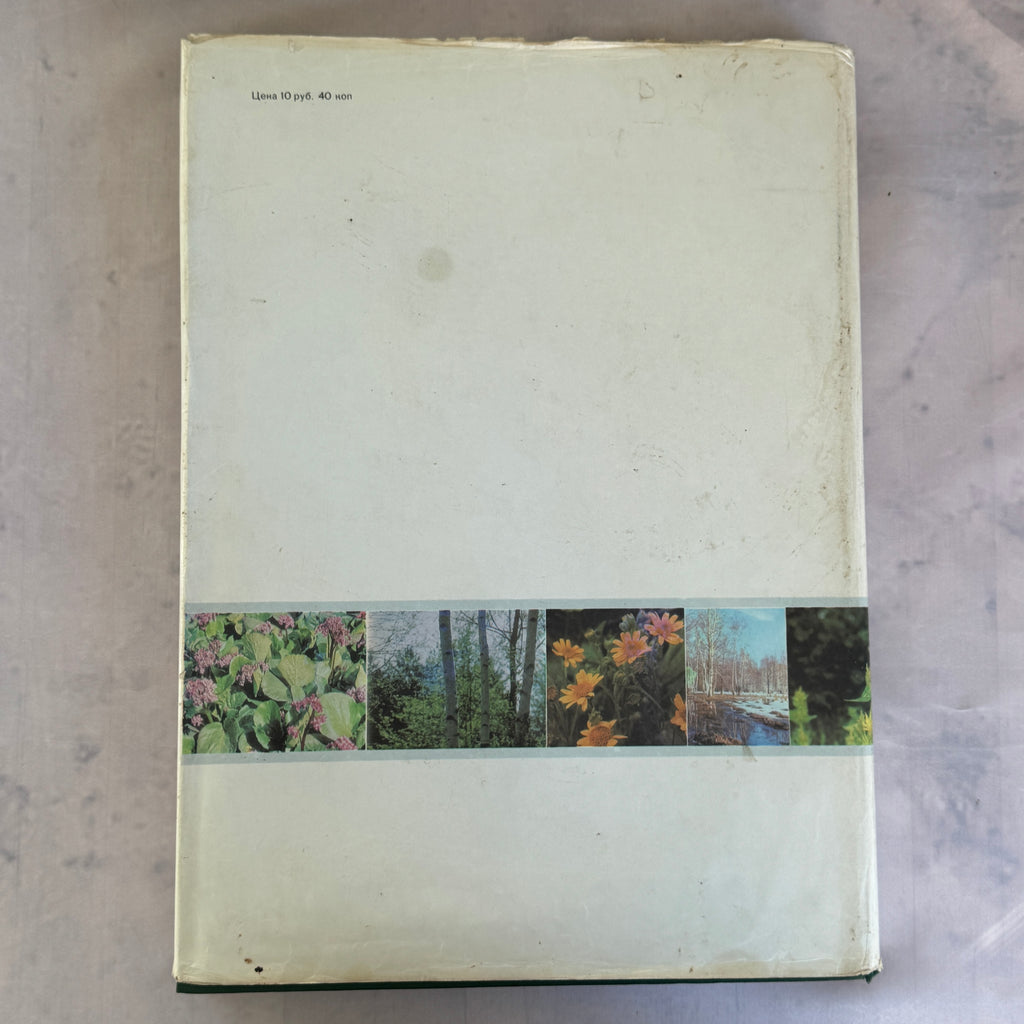 Soviet Botanical Atlas 1980 A3 Medicinal Plants Maps USSR