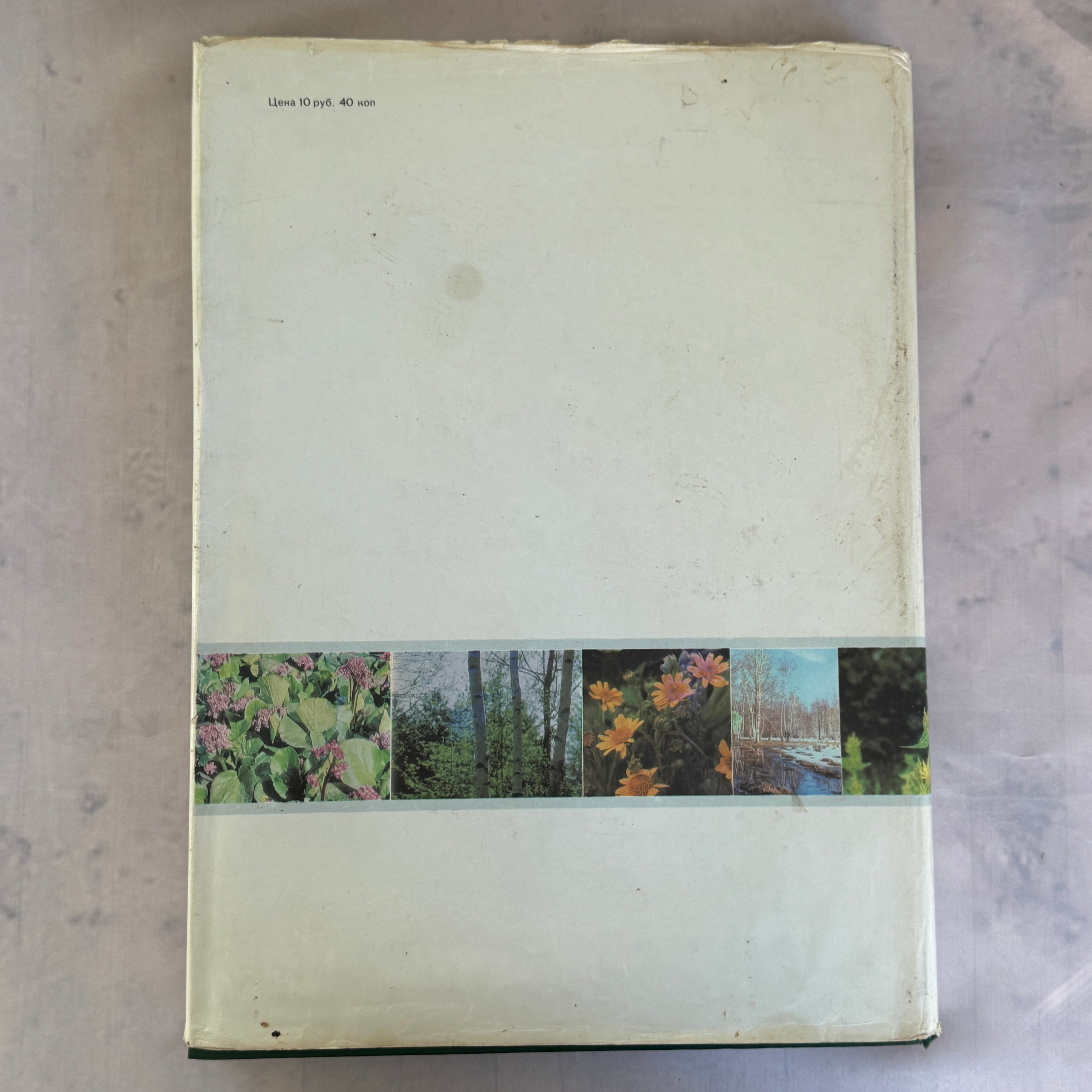 Soviet Botanical Atlas 1980 A3 Medicinal Plants Maps USSR