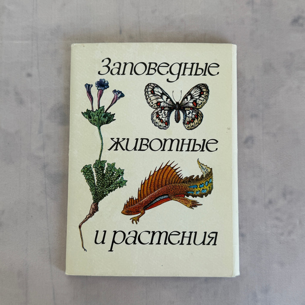 Soviet Nature Illustration Set 1982 – Animal & Botanical Print Collection (16 Pieces)