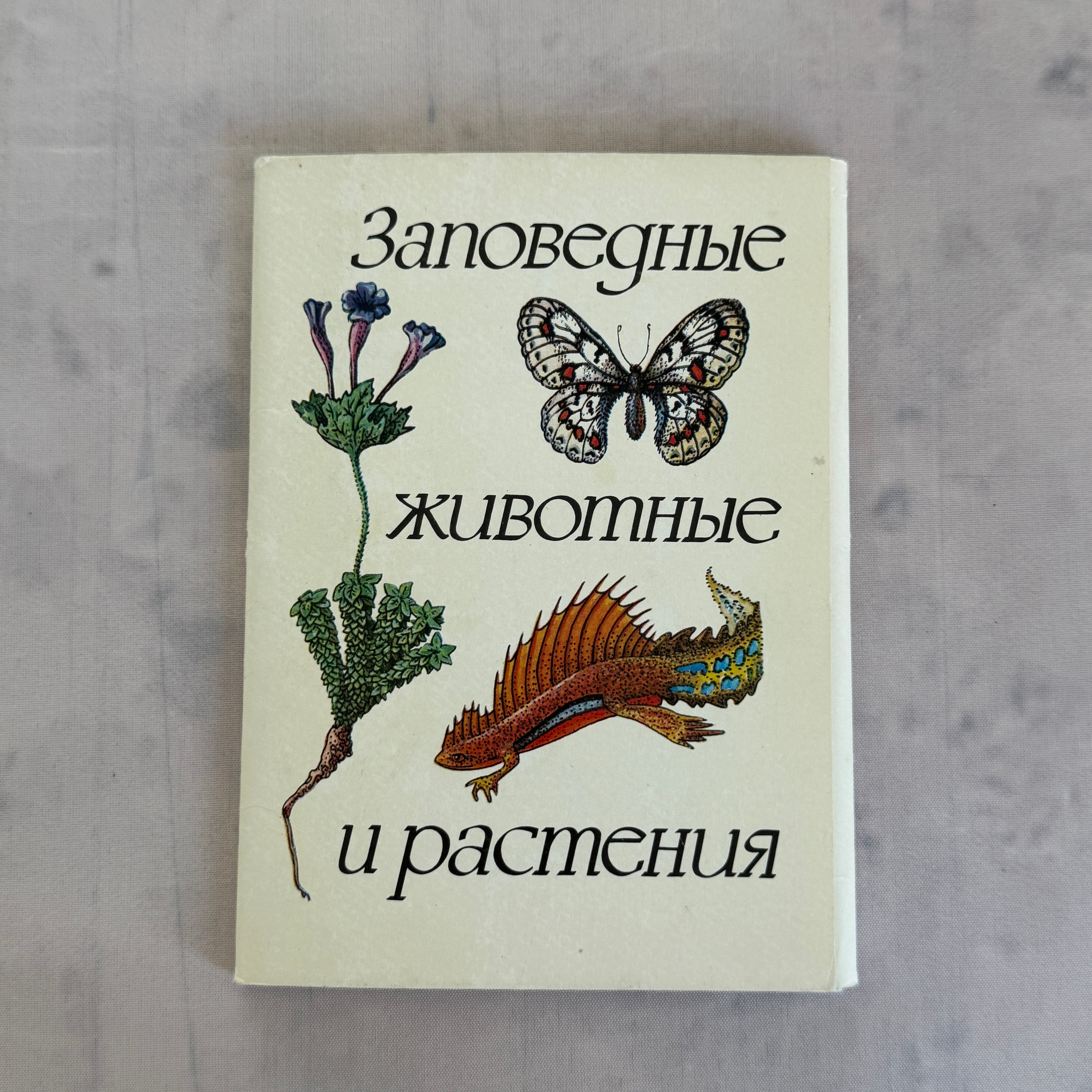 Soviet Nature Illustration Set 1982 – Animal & Botanical Print Collection (16 Pieces)