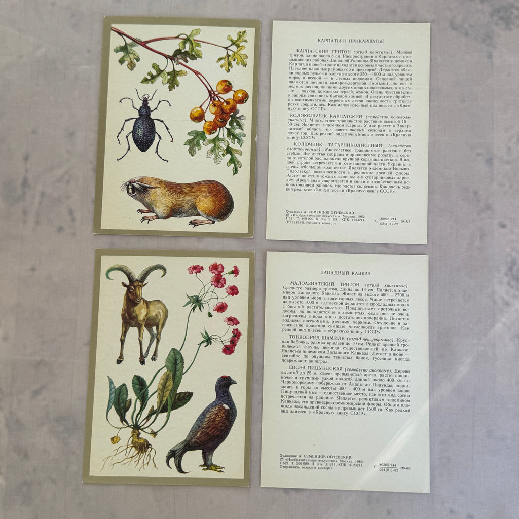 Soviet Nature Illustration Set 1982 – Animal & Botanical Print Collection (16 Pieces)