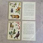 Soviet Nature Illustration Set 1982 – Animal & Botanical Print Collection (16 Pieces)