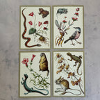 Soviet Nature Illustration Set 1982 – Animal & Botanical Print Collection (16 Pieces)