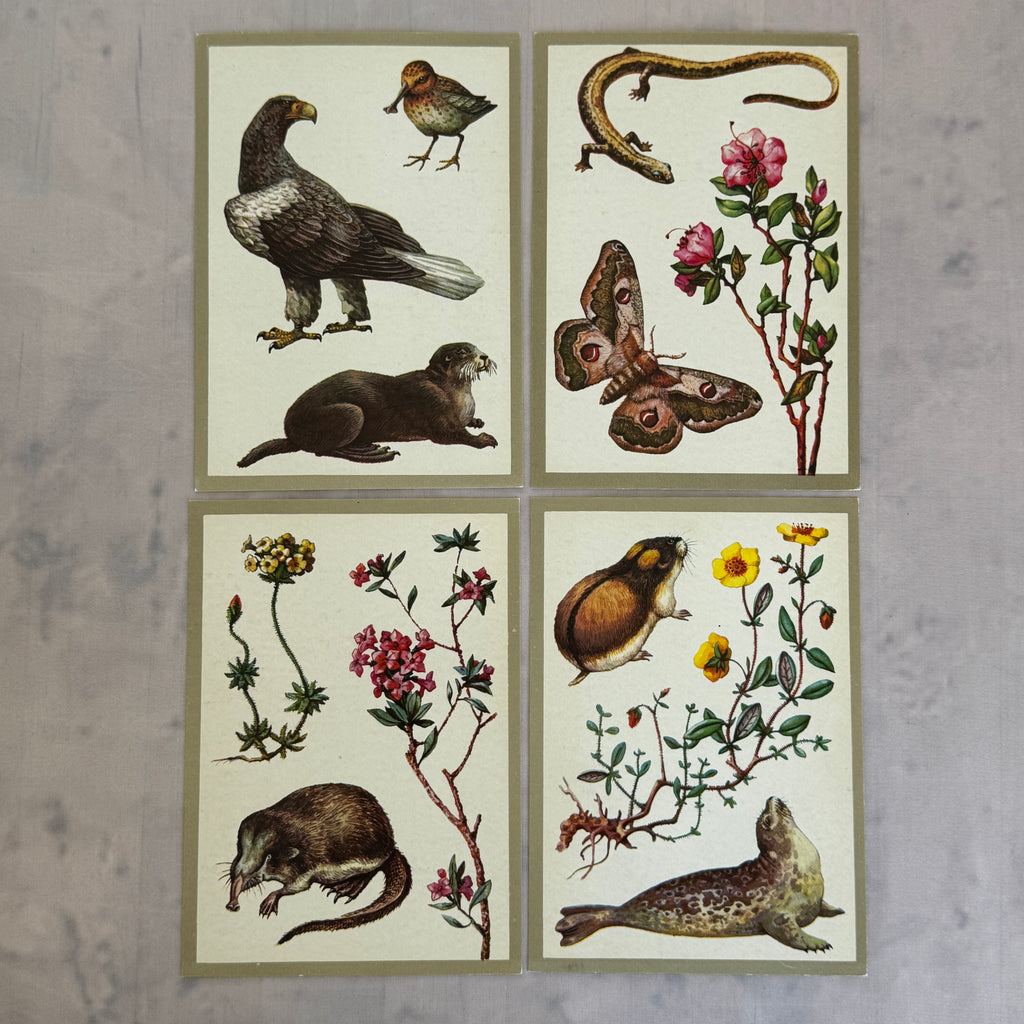 Soviet Nature Illustration Set 1982 – Animal & Botanical Print Collection (16 Pieces)
