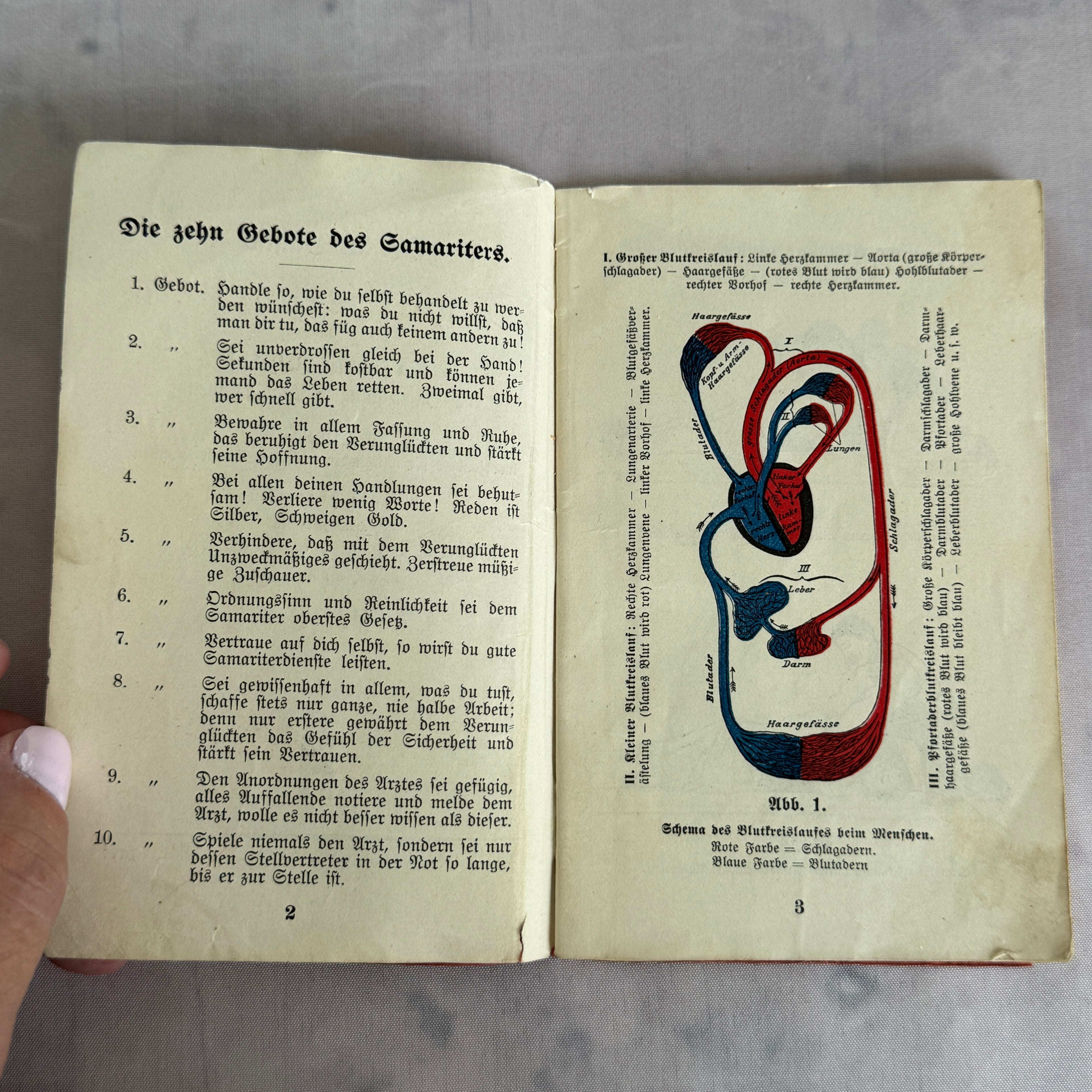Antique German First Aid Book c.1910 – Illustrated Medical Handbook