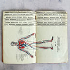 Antique German First Aid Book c.1910 – Illustrated Medical Handbook