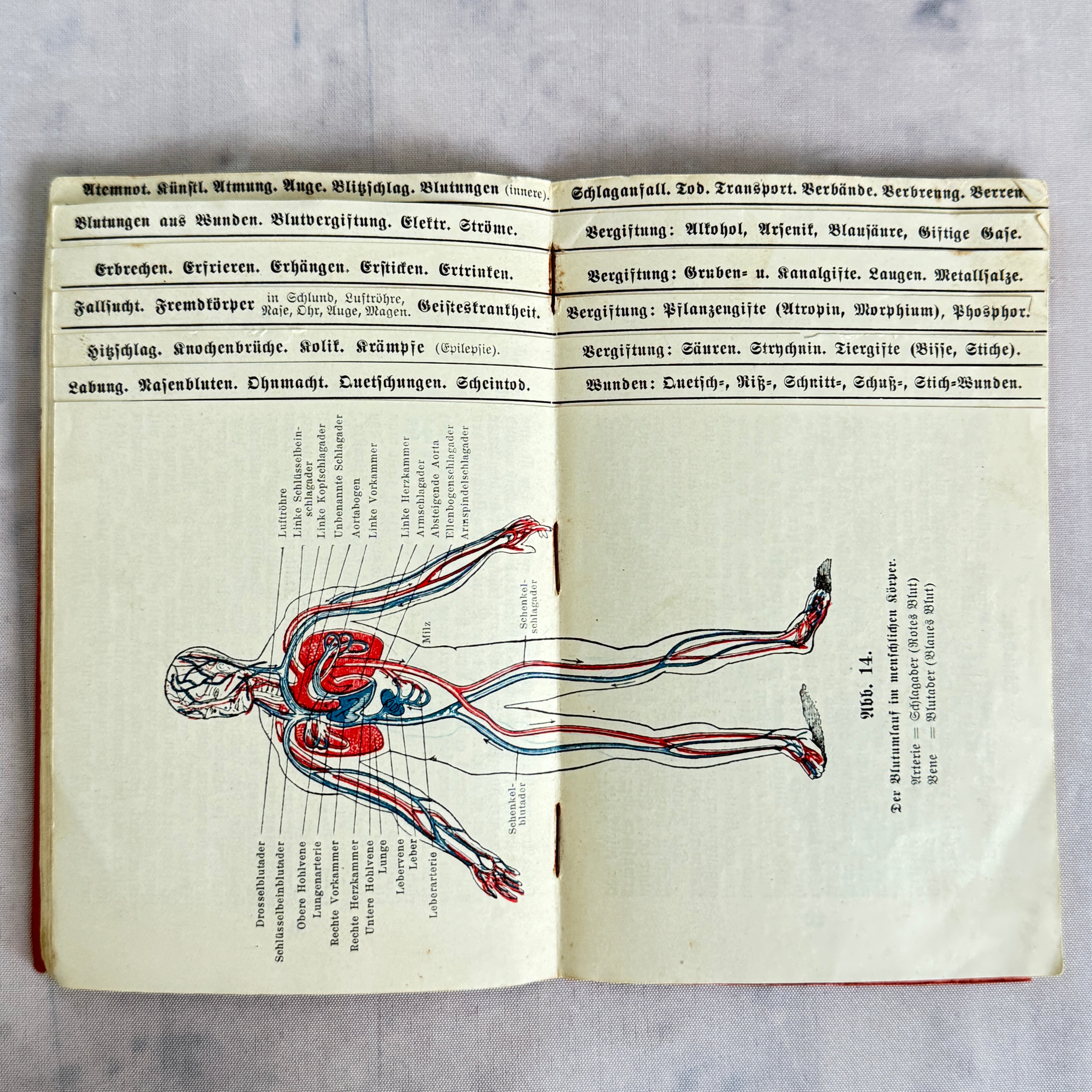 Antique German First Aid Book c.1910 – Illustrated Medical Handbook