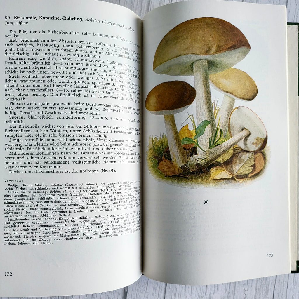 Vintage 1966 GDR Mushroom Book – Taschenbuch für Pilzfreunde, Bruno Hennig