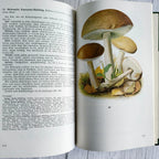 Vintage 1966 GDR Mushroom Book – Taschenbuch für Pilzfreunde, Bruno Hennig