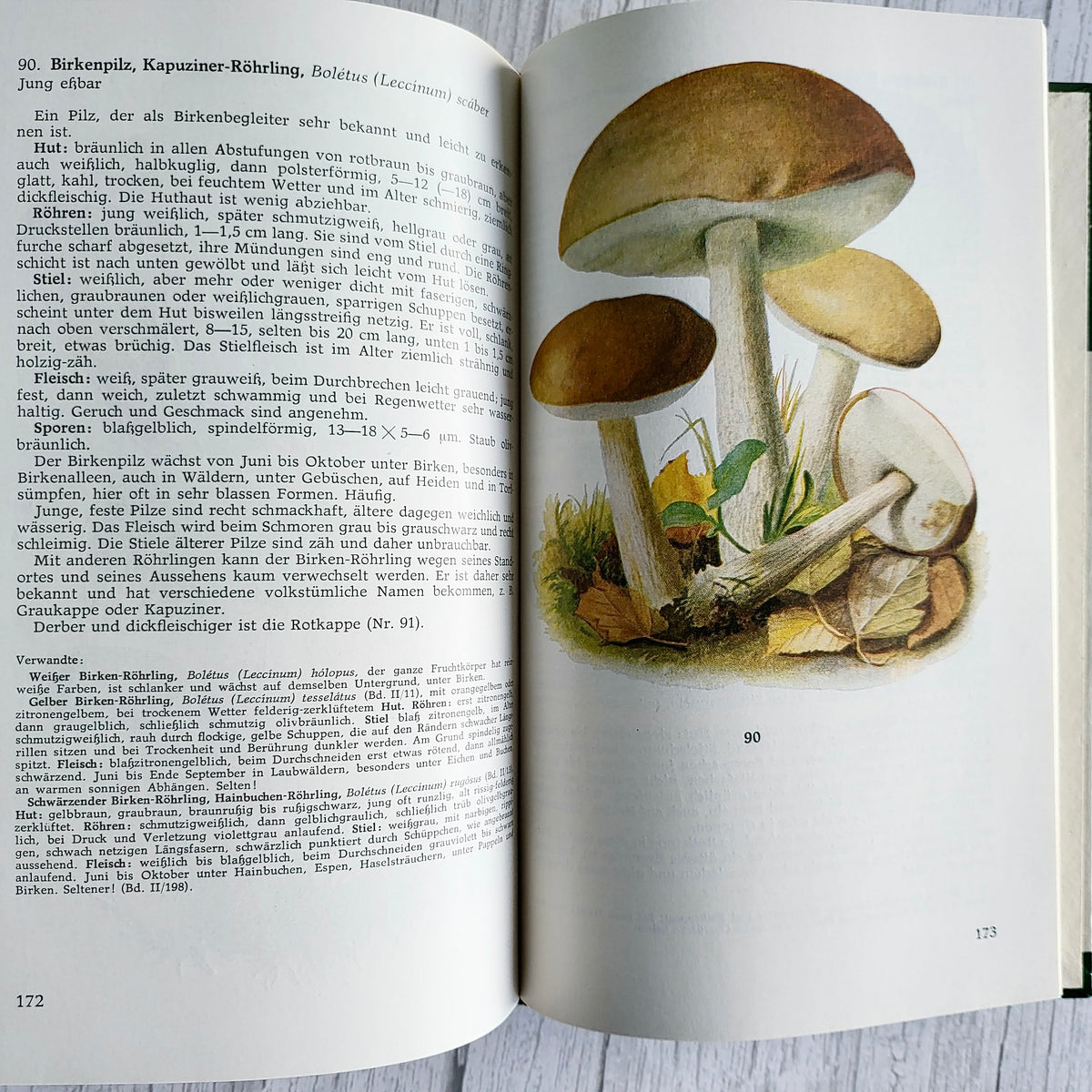 Vintage 1966 GDR Mushroom Book – Taschenbuch für Pilzfreunde, Bruno Hennig