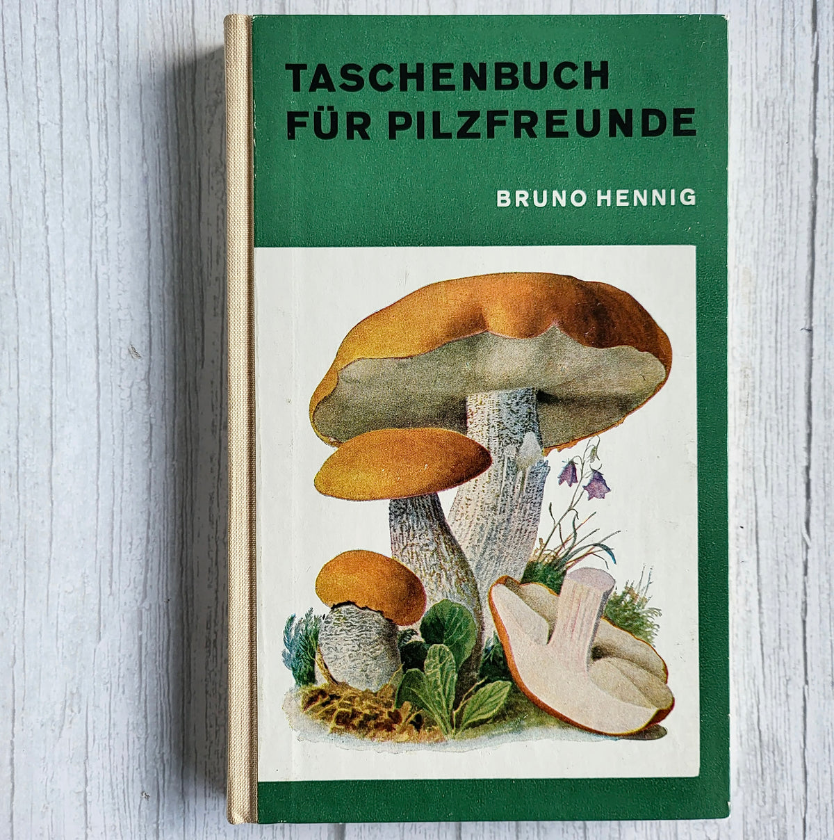 Vintage 1966 GDR Mushroom Book – Taschenbuch für Pilzfreunde, Bruno Hennig