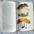 Vintage 1966 GDR Mushroom Book – Taschenbuch für Pilzfreunde, Bruno Hennig